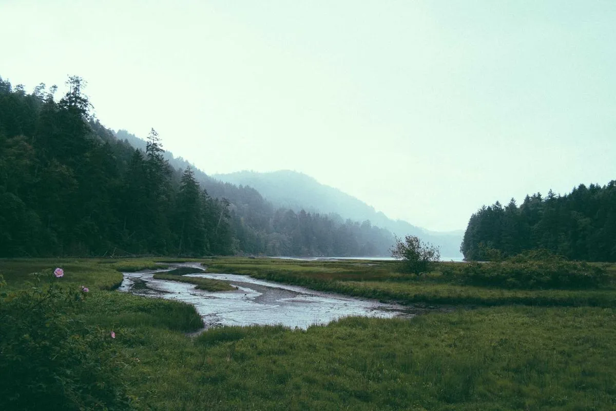 The Beginner's Path to Blended Learning