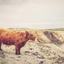 Peer Review: What You Need to Know in 2026